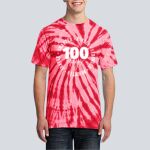 Adult Tie-Dye T-Shirt - Bilbray Thumbnail